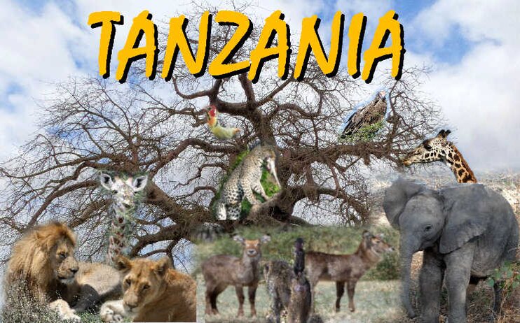 Sez.Fotografia - mostra “TANZANIA”  di Gianna Maria Albano